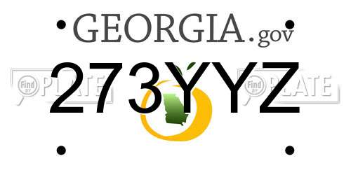 273YYZ Georgia License Plate