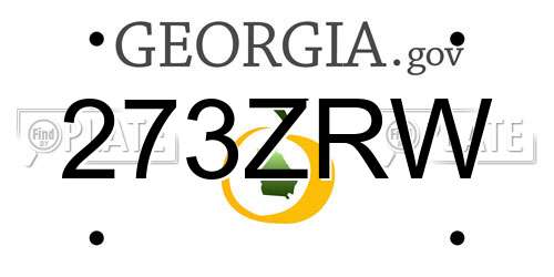 273ZRW Georgia License Plate