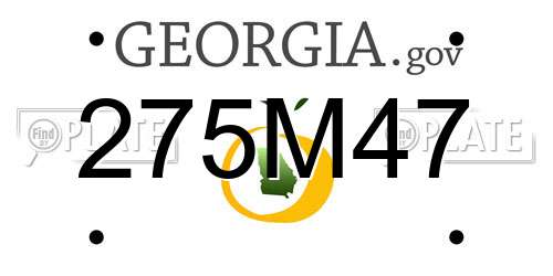275M47 Georgia License Plate