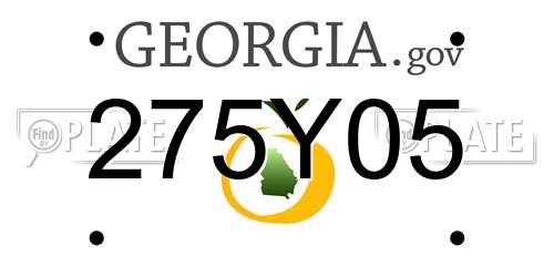 275Y05 Georgia License Plate