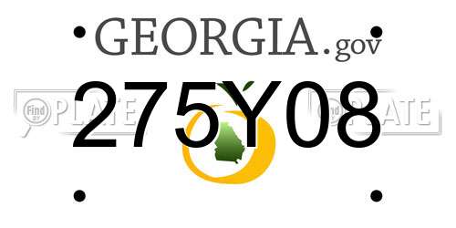 275Y08 Georgia License Plate