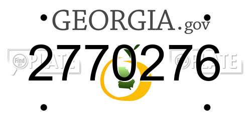 2770276 Georgia License Plate