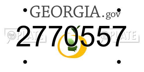 2770557 Georgia License Plate