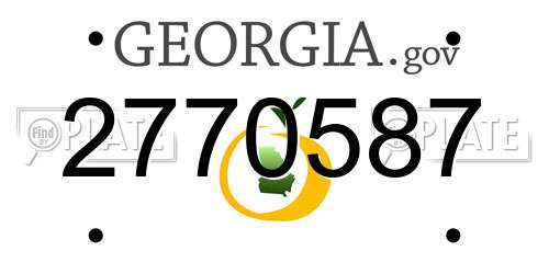 2770587 Georgia License Plate