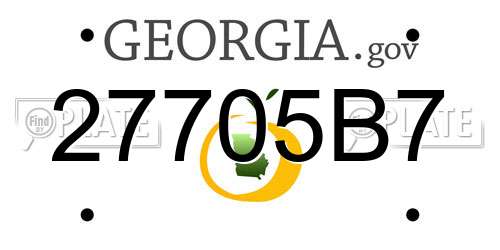 27705B7 Georgia License Plate