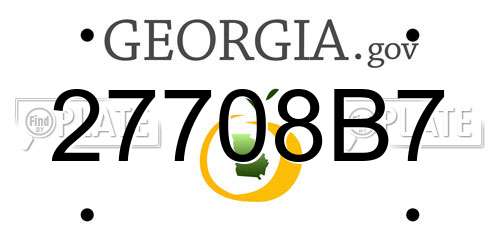 27708B7 Georgia License Plate