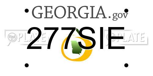 277SIE Georgia License Plate