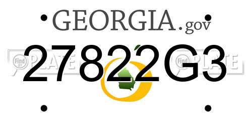 27822G3 Georgia License Plate