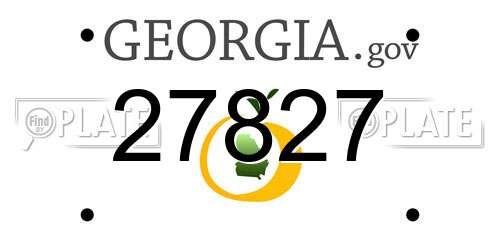 27827 Georgia License Plate