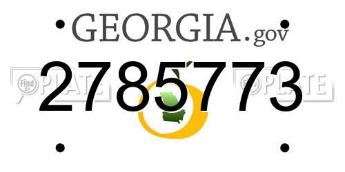 2785773 Georgia License Plate
