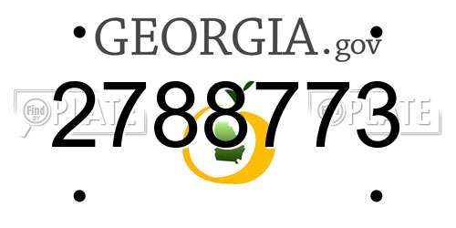2788773 Georgia License Plate