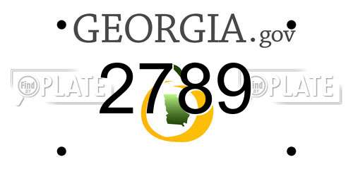2789 Georgia License Plate