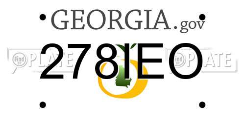 278IEO Georgia License Plate