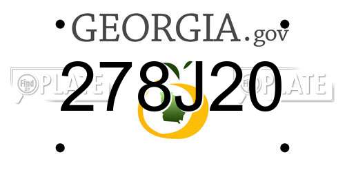 278J20 Georgia License Plate