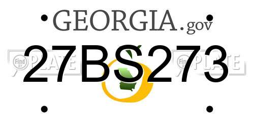 27BS273 Georgia License Plate