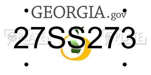 27SS273 Georgia License Plate