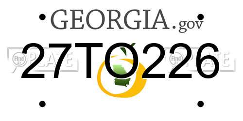 27TO226 Georgia License Plate