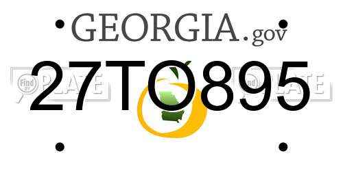 27TO895 Georgia License Plate