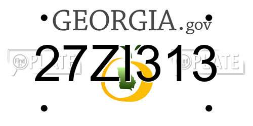 27ZI313 Georgia License Plate