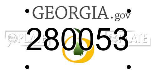 280053 Georgia License Plate