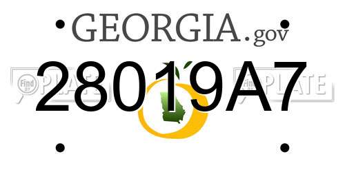 28019A7 Georgia License Plate