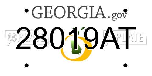 28019AT Georgia License Plate