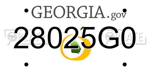 28025G0 Georgia License Plate