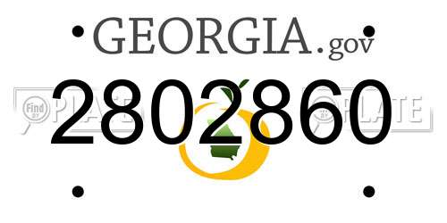 2802860 Georgia License Plate