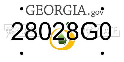 28028G0 Georgia License Plate