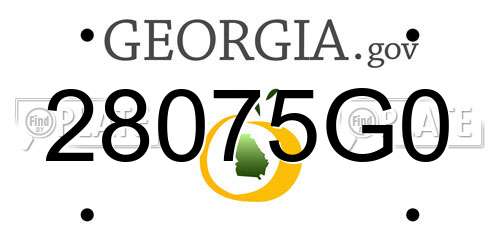 28075G0 Georgia License Plate