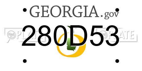 280D53 Georgia License Plate