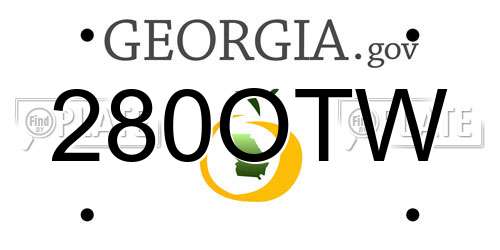 280OTW Georgia License Plate