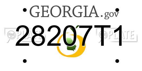 28207T1 Georgia License Plate