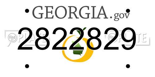 2822829 Georgia License Plate