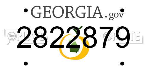 2822879 Georgia License Plate