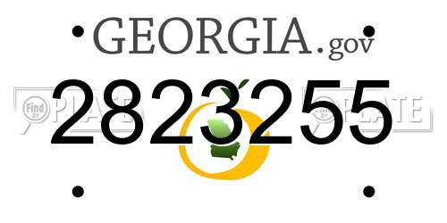 2823255 Georgia License Plate