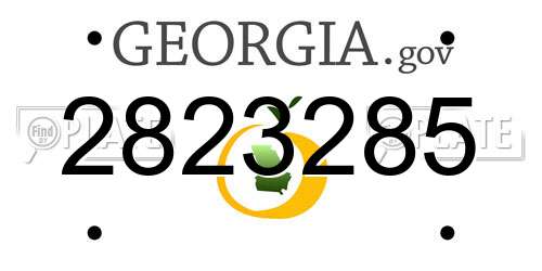 2823285 Georgia License Plate
