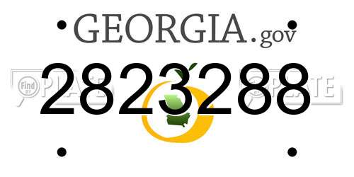 2823288 Georgia License Plate