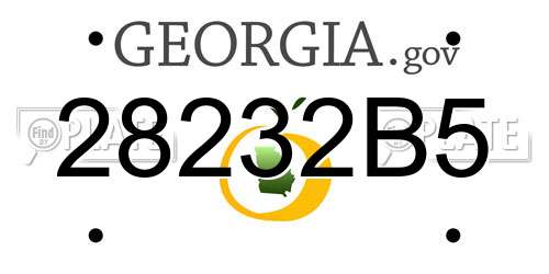 28232B5 Georgia License Plate