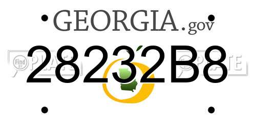28232B8 Georgia License Plate