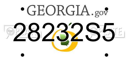 28232S5 Georgia License Plate