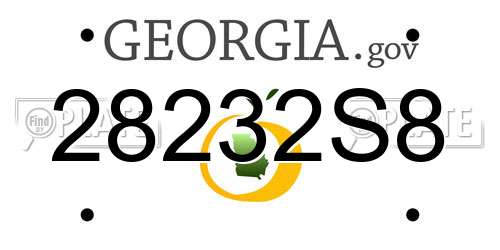 28232S8 Georgia License Plate