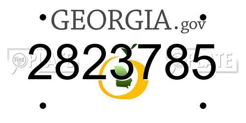 2823785 Georgia License Plate