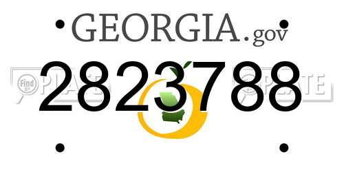 2823788 Georgia License Plate