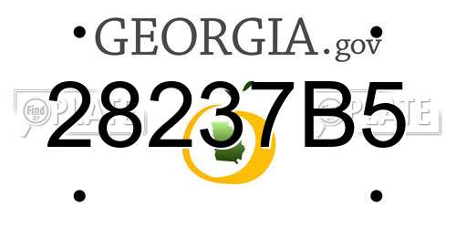 28237B5 Georgia License Plate