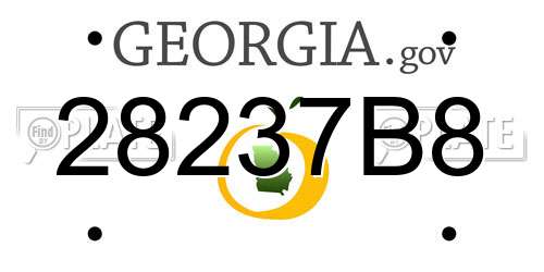 28237B8 Georgia License Plate