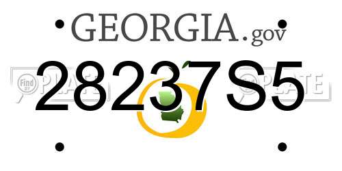 28237S5 Georgia License Plate