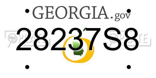 28237S8 Georgia License Plate