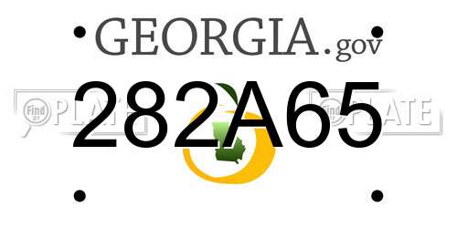 282A65 Georgia License Plate