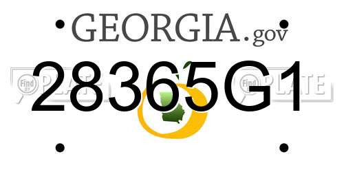 28365G1 Georgia License Plate